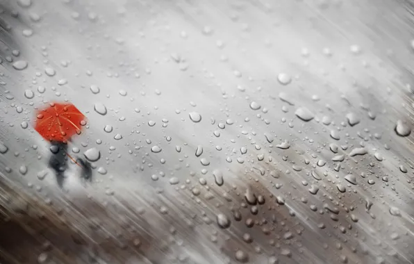 Картинка осень, стекло, девушка, капли, дождь, собака, зонт, силуэты