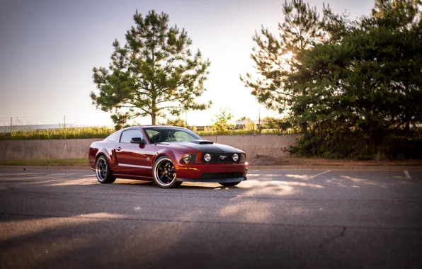 Картинка Ford, mustang, red, gt, 2005-09