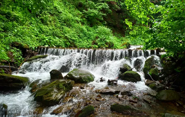 Лес, природа, камни, водопад, природа nature, лес trees, камни в воде, лесной водопад