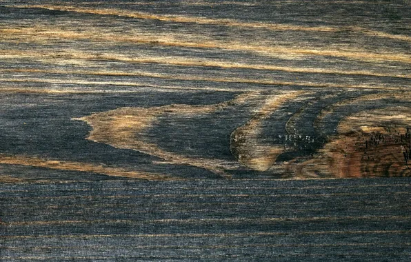 Древесина, wood, заставка