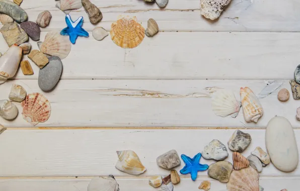 Картинка звезды, камни, ракушки, summer, beach, wood, marine, starfish