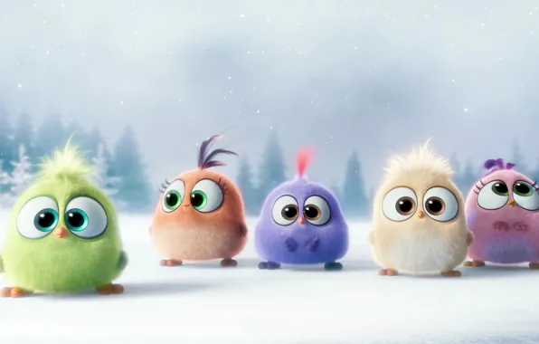 Картинка зима, снег, настроение, мультфильм, птички, Hatchlings Angry Birds