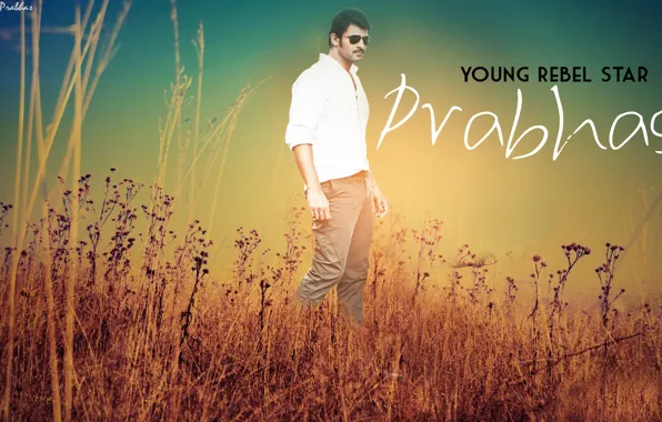 Actor, prabhas, mirchi