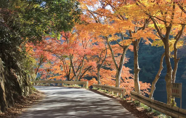 Картинка Japan, panorama, Moroyama, Oyagi