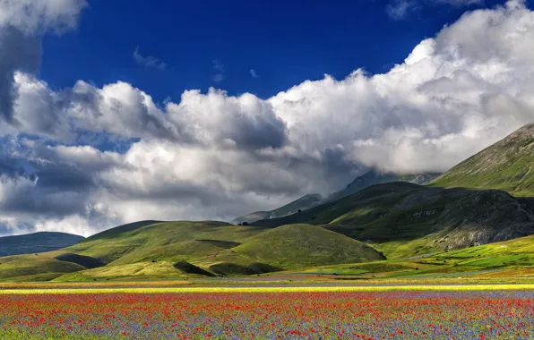 Картинка небо, облака, цветы, горы, маки, луг, Италия