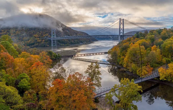 Картинка осень, лес, мост, река
