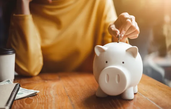 Pig, coin, savings