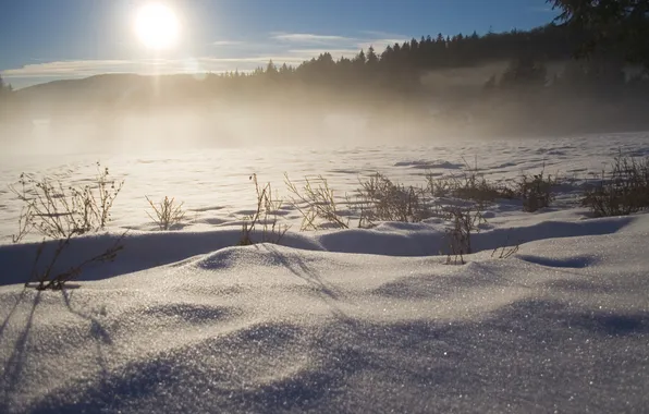 Картинка зима, солнце, свет, снег, деревья, сугробы, Canon EOS 350D DIGITAL, зимние обои