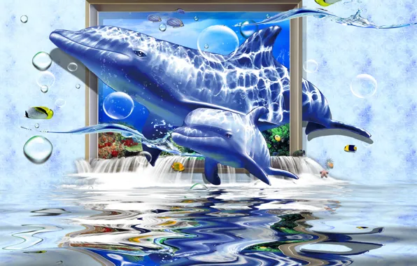 Dolphin, Underwater world