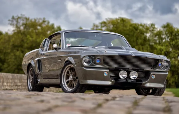 Картинка Mustang, Ford, Shelby, GT500, USA, Eleanor, Muscle Car, Classic Car