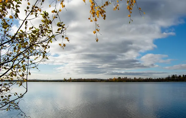 Небо, вода, деревья, природа, озера