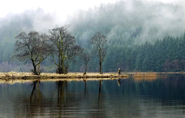 Картинка деревья, озеро, фотограф