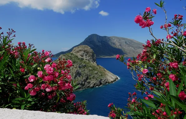 Море, пейзаж, горы, природа, остров, Греция, кусты, олеандр