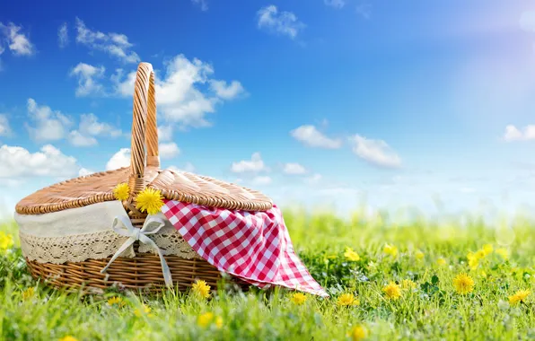 Картинка поле, трава, цветы, корзина, весна, sunshine, пикник, одуванчики