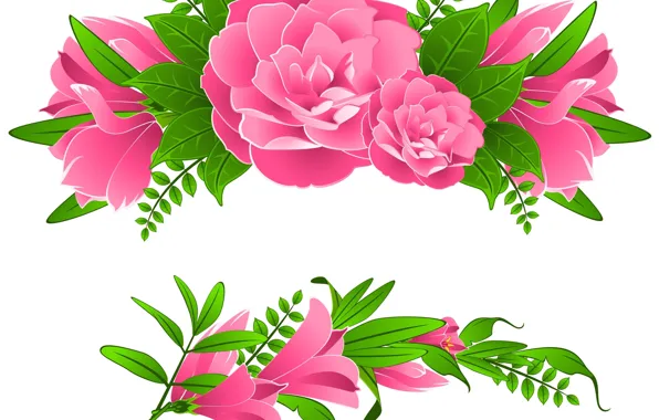 Картинка белый, цветы, фон, розовые