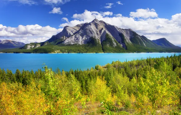 Картинка осень, лес, небо, листья, деревья, горы, озеро, канада