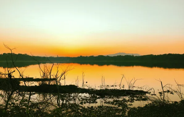 Sun, Water, Sunrise, Dawn, Morning, Lake, Trees, Reflection