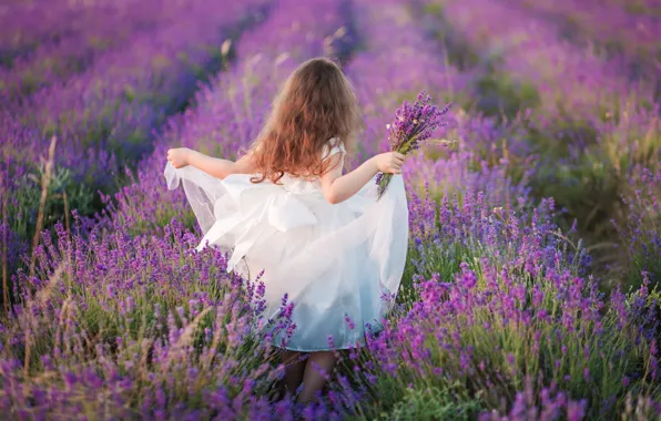 Картинка поле, лето, природа, букет, девочка, лаванда