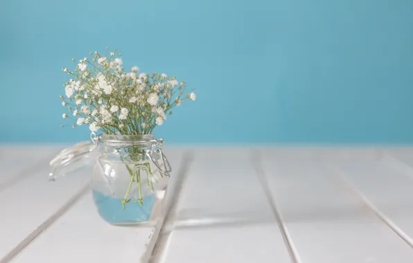 Цветы, букет, ваза, белые, with, flowers, vase