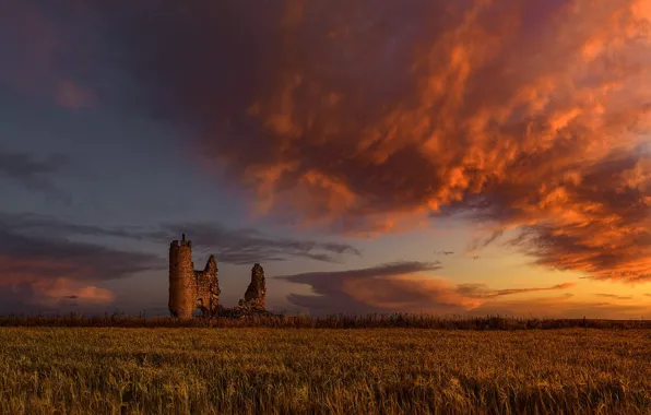 Поле, замок, руины