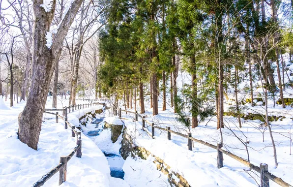 Картинка зима, снег, деревья, пейзаж, forest, trees, landscape, winter