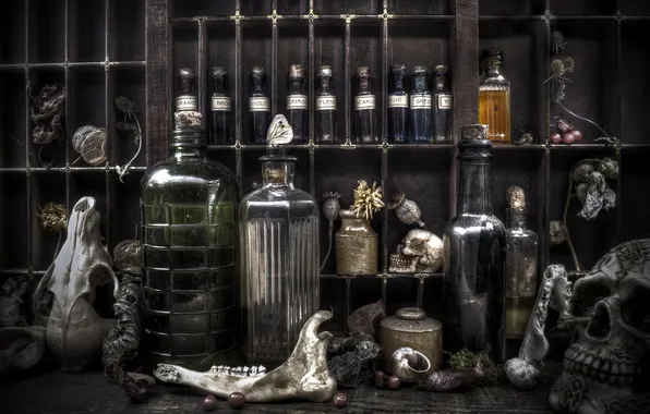 Картинка skulls, flowers, bottles, berries, snails, potions, vials, poisons