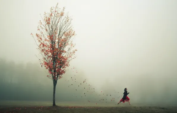 Картинка осень, листья, девушка, туман, дерево