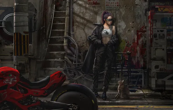 Future, cat, art, cyberpank, Motorcycle, Eddie Mendoza, moto girl