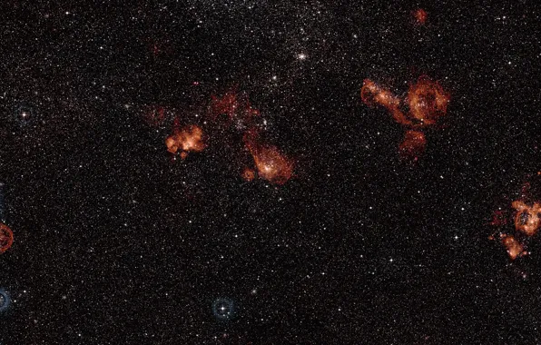 The Swordfish, constellation of Dorado, Magellanic Cloud, NGC 2014, NGC 2020