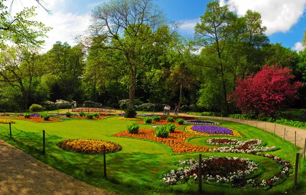 Трава, деревья, цветы, парк, отдых, Германия, разноцветные, клумбы