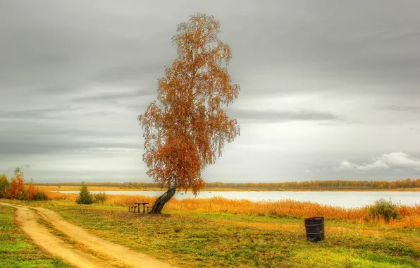 Дорога, осень, деревья, природа, озеро, фото