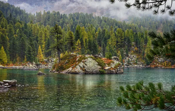Картинка forest, river, mountains, lake, fog