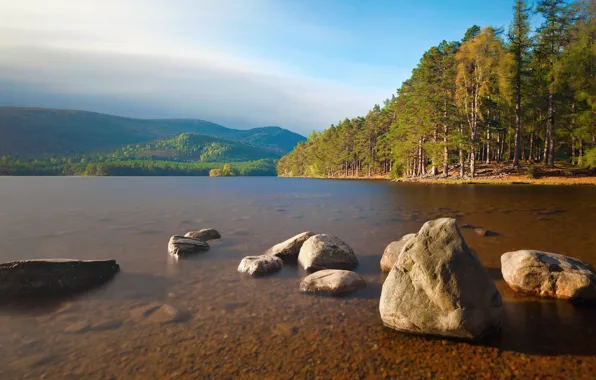 Лес, горы, река, камни, river, nature, rocks, fall