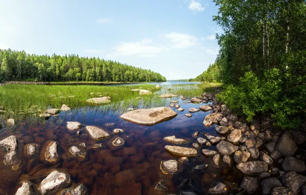 Картинка лето, трава, вода, река, камни, dibr