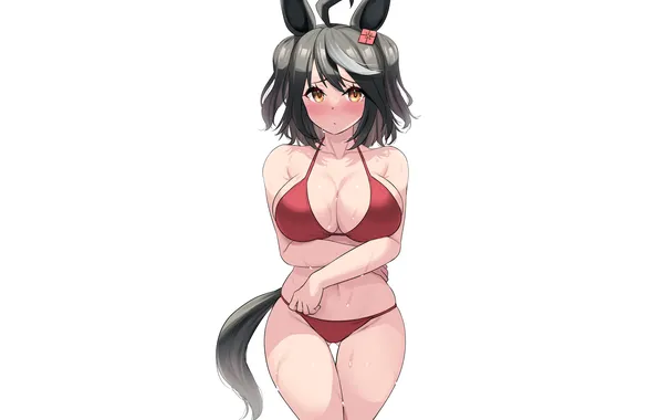Girl, sexy, wet, cleavage, boobs, animal ears, sexy girl, anime