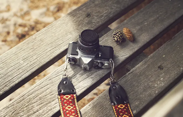 Camera, autumn, Pentax