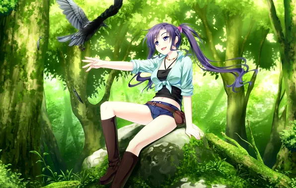 Картинка лес, девушка, птица, камень, & - sora no mukou de sakimasu you ni, game cg