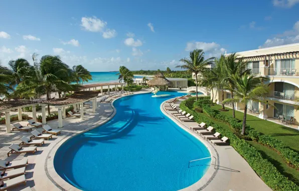 Пальмы, океан, бассейн, Мексика, отель, курорт, Dreams Tulum Resort & Spa, A Kuoni Hotel in …