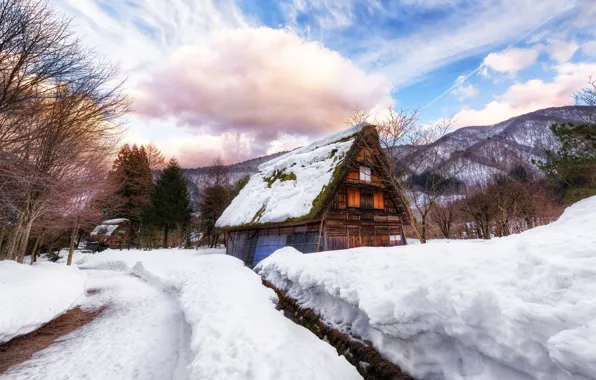 Картинка зима, снег, дом, Япония, деревня