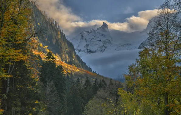 Картинка осень, облака, пейзаж, горы, природа, леса, Кавказ, Домбай