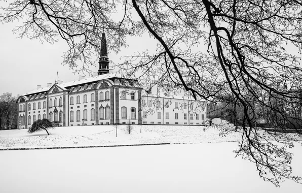 Winter, snow, branch, Denmark, cloudy, Zealand, Axel Berg, Haslev