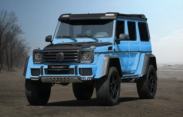 Mercedes-Benz, мерседес, гелендваген, Mansory, G-Class, W463