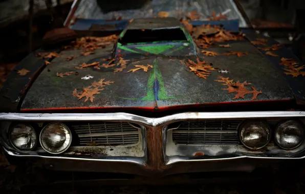 Листья, Pontiac, muscle car, Firebird