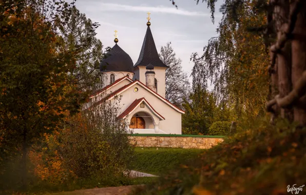 Природа, Тульская область, Илья Гарбузов, Бёхово, церковь Троицы Живоначальной