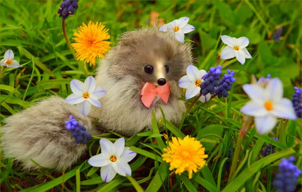 Цветы, Весна, Цветочки, Flowers, Spring, Colors