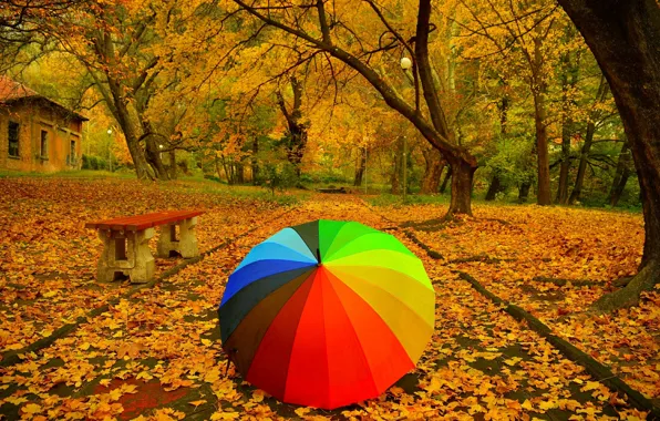 Картинка Осень, Деревья, Зонтик, Парк, Fall, Листва, Скамья, Дорожка