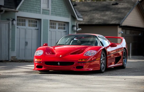 Картинка Ferrari, суперкар, феррари, 1995, F50