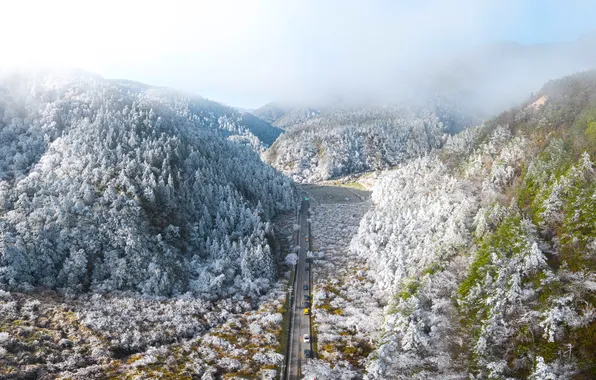 Картинка forest, road, cars, trees, fog, hills, highway, frost