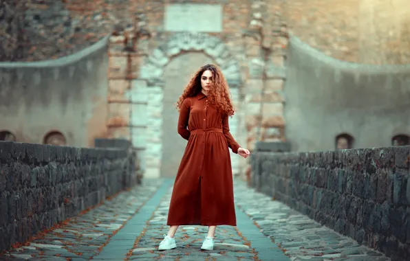 Взгляд, девушка, мост, поза, замок, платье, арка, шатенка