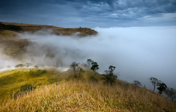 Картинка горы, природа, туман